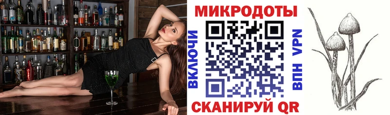 купить наркотик  Первоуральск  Псилоцибиновые грибы Psilocybe 